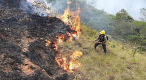 Gobierno declara alerta roja por incendios en 17 municipios del país y moviliza más de mil efectivos 
