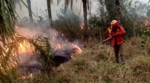 Gobierno reporta 84 mil hectáreas afectadas por incendios y pide apoyo internacional