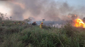 Bolivia registra 89 focos de calor y 2  incendios forestales; hay más de 83 mil hectáreas quemadas 