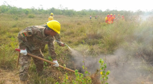Calvimontes informa que hay tres incendios forestales activos en dos departamentos