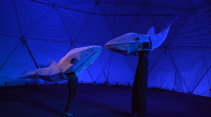 Compañía de Cochabamba presenta en La Paz “Mundo Abisal”, una obra que mezcla el circo con las acrobacias