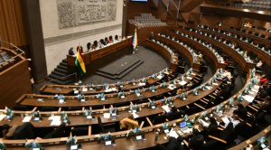 Diputados critican declaraciones de legisladora chilena