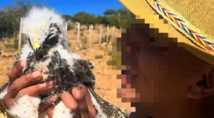 Pofoma abre investigación contra tiktoker “Tailong” por presunto maltrato animal