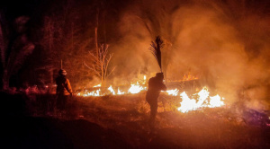 |OPINIÓN|Bolivia necesita una organización real para enfrentar los incendios forestales|Enrique Bruno|