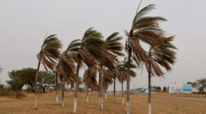 Senamhi alerta ráfagas intensas de viento en el oriente y el sur del país
