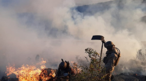 Bajan de 13 a 6 los incendios activos en Santa Cruz, pero la emergencia continúa