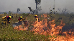 Bolivia registra seis incendios activos, el Senamhi emite alertas por calor extremo y fuertes vientos