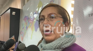 Serecí se reúne con representante de veedores de la OEA