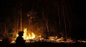 Tribunal Agroambiental denuncia incumplimiento en la protección de la Reserva Bajo Paraguá ante avance de incendios