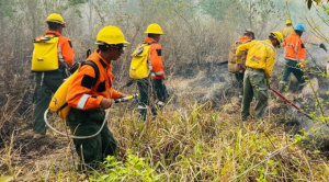 Gobierno resalta reducción de incendios forestales