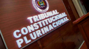 Abogado presenta acción popular contra  magistrados del TCP, el Legislativo y el TSE