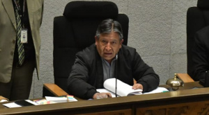 Choquehuanca al concluir la sesión de la ALP dijo que esta “nunca se detuvo” y pidió “dejar de destruirnos entre bolivianos”