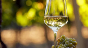 El singani boliviano brilla en México y gana la Gran Medalla de Oro en el concurso mundial de bebidas espirituosas