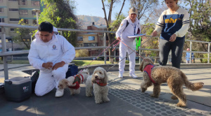 Ministerio de Salud anuncia vacunación contra la rabia el 29 y 30 de noviembre