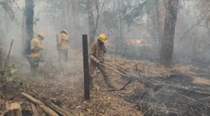 Bolivia reduce en 97% las hectáreas quemadas, aunque persisten dos incendios activos en Santa Cruz