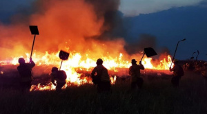 |OPINIÓN|¿Qué hicieron con los recursos naturales?|Marianela Curi|