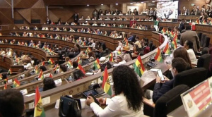 Se instala sesión en Diputados para debatir la ley de las Subnacionales 2026