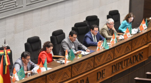 Diputados sanciona ley de subnacionales y la remite al Ejecutivo para su promulgación