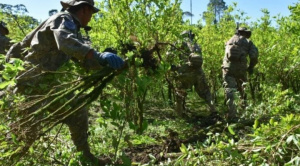 |OPINIÓN|Una mirada al apogeo y el ocaso de la diplomacia de la coca|Patricia Chulver|