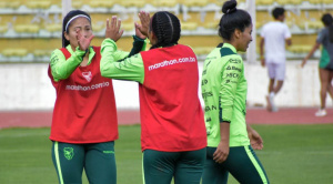 Dos años después una selección de Bolivia jugará en el Siles