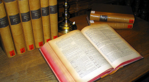 Qué es un bolivianismo y cómo se incluye en el Diccionario de la Lengua 