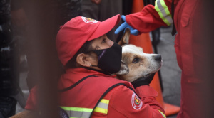 Doggy, el perro rescatado por bomberos del incendio en la Sagárnaga, ya está con sus dueños