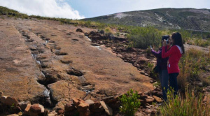 Sernap y Soboce unen fuerzas para proteger las huellas de dinosaurio en Toro Toro