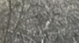 |RESEÑA|¿Quién fue el culpable del estallido de la Guerra del Chaco?IRaúl Ribero|