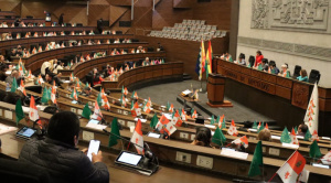 Diputados destraban crédito japonés de $us 100 millones tras tres años 