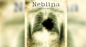 Tristeza nao tem fim, felicidade sim