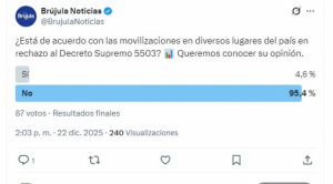 Sondeo advierte rechazo ciudadano a las movilizaciones contra el DS 5503