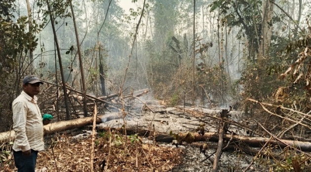 Senado abroga la principal ley incendiaria que permite el desmonte de hasta 20 hectáreas